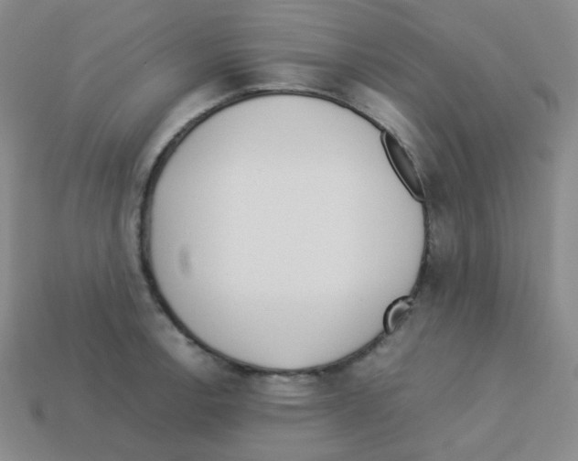 X0000113251138200910221115