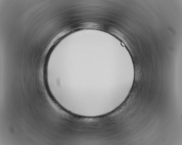 X0000113251139200910221115