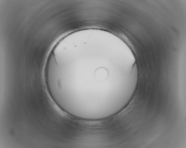 X0000113251140200910221116