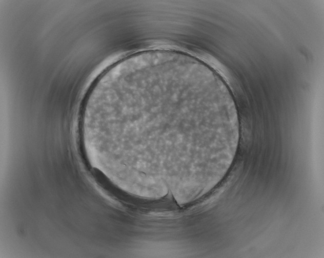 X0000113251142200910221116