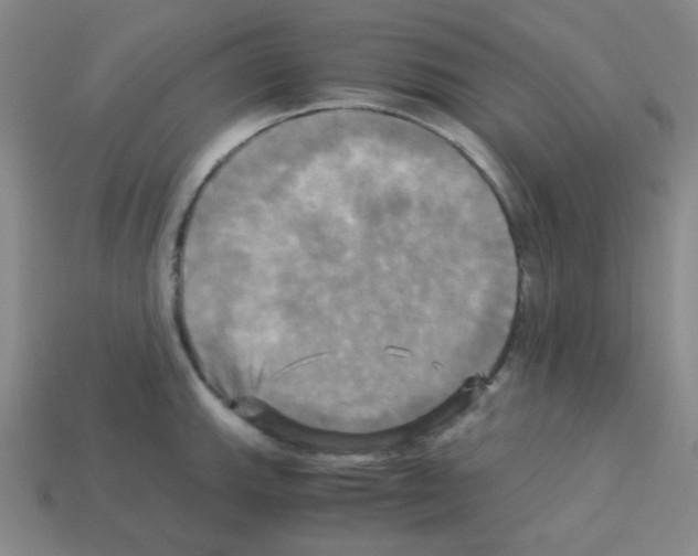 X0000113251143200910221116