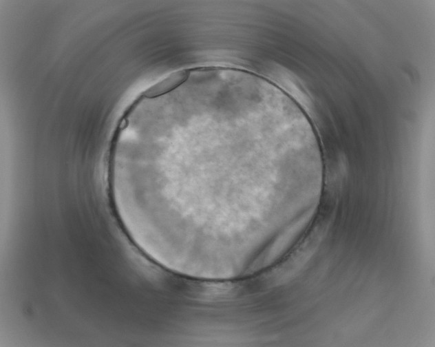 X0000113251144200910221116