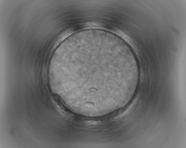 X0000113251145200910221116