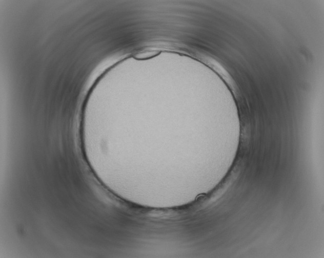 X0000113251146200910221116