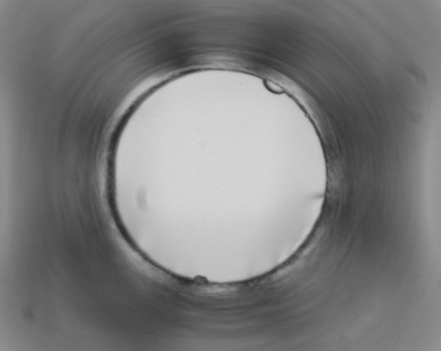 X0000113251147200910221116