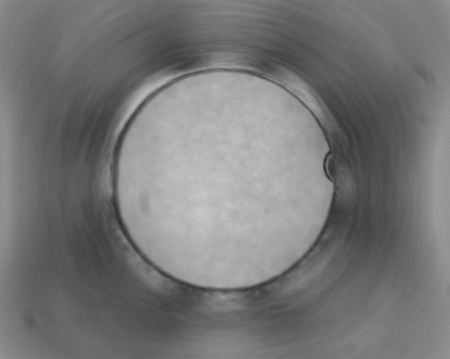 X0000113251148200910221116