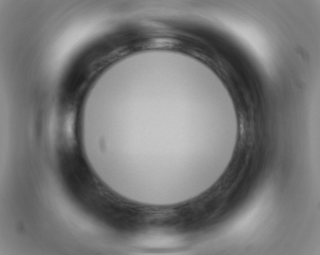 X0000113251150200910221116