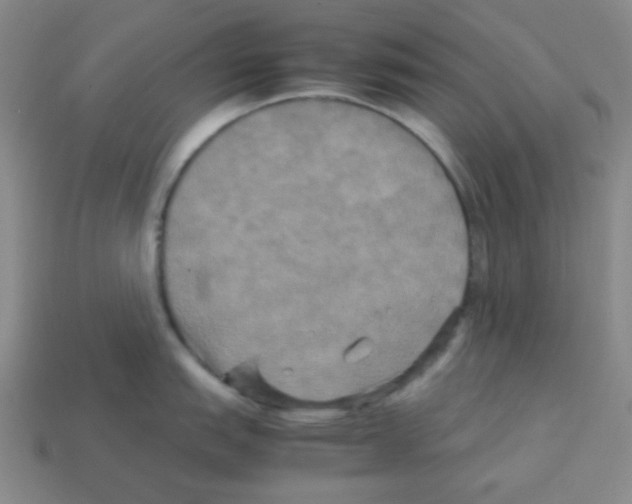 X0000113251151200910221116