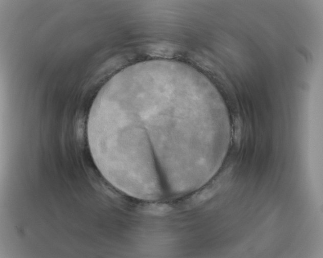 X0000113251154200910221115