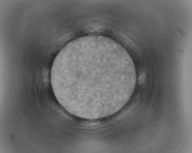 X0000113251156200910221115