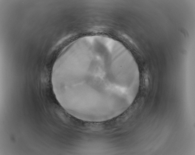 X0000113251158200910221115