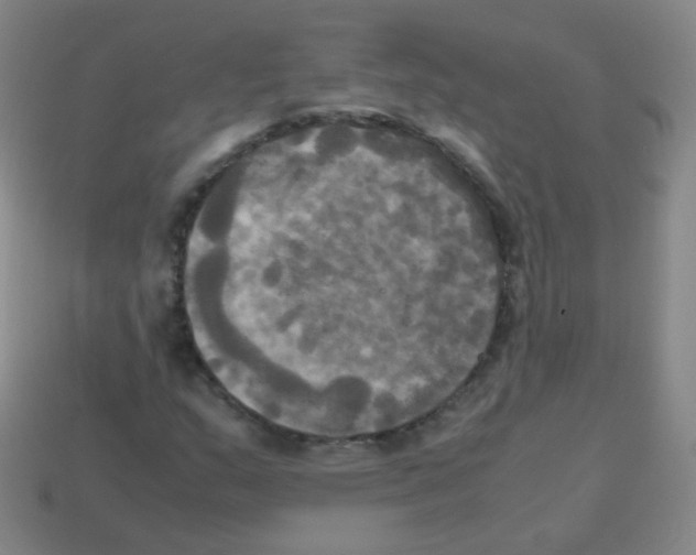 X0000113251159200910221115