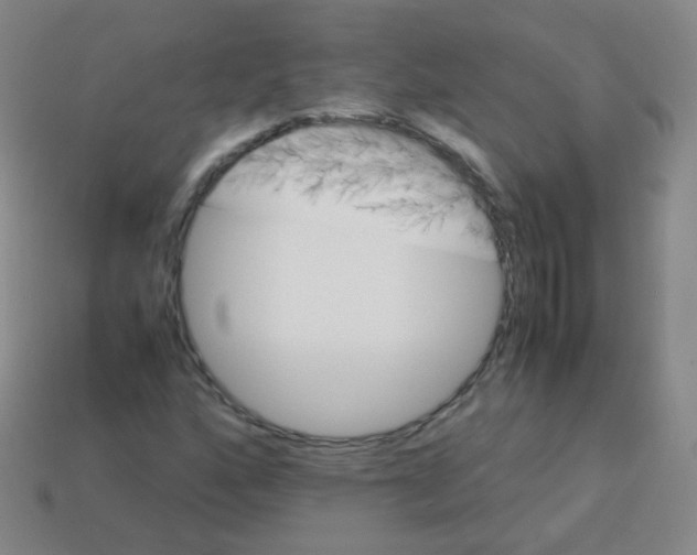 X0000113251160200910221115