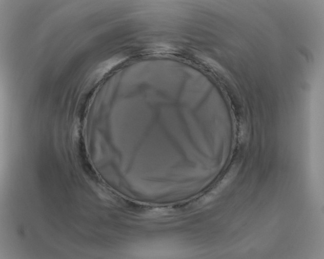 X0000113251161200910221115