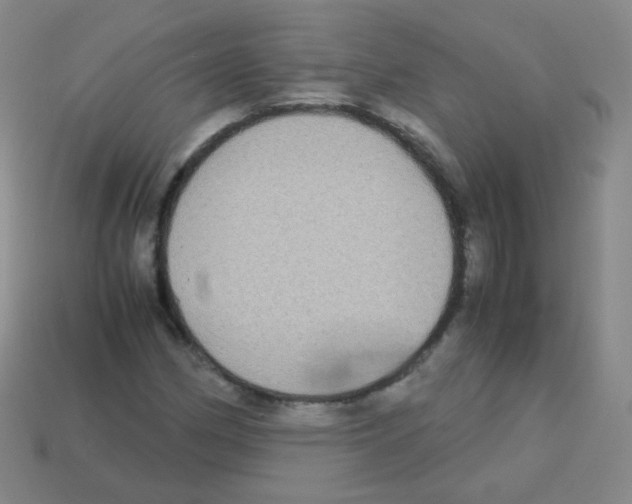 X0000113251162200910221115