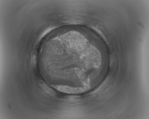 X0000113251163200910221115