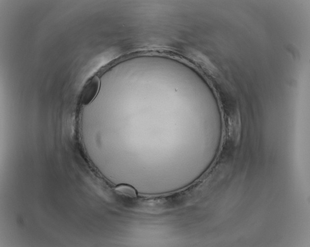 X0000113251165200910221115