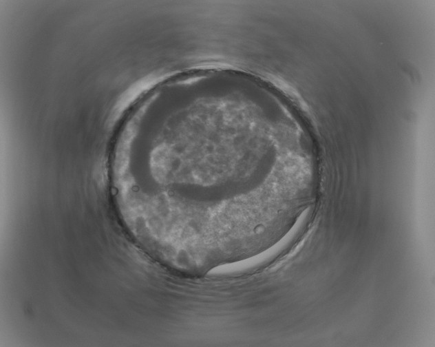 X0000113251167200910221115