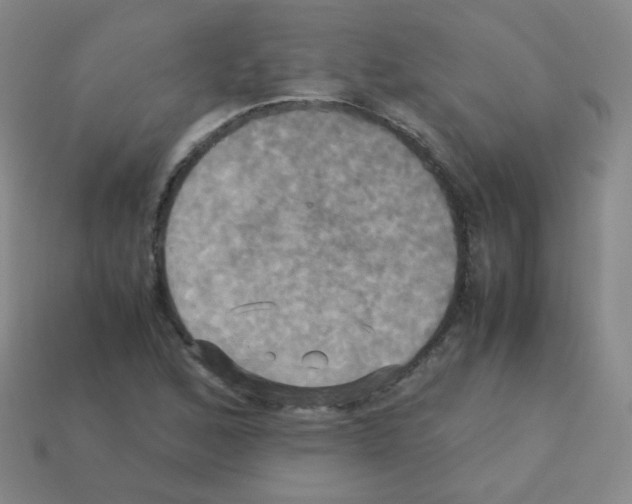 X0000113251168200910221115