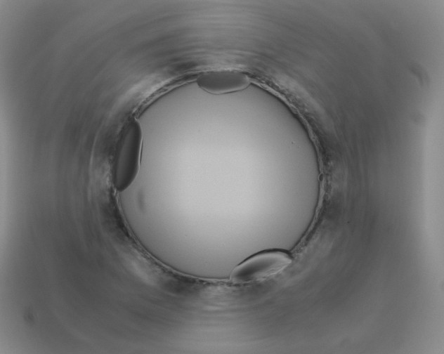 X0000113251169200910221115