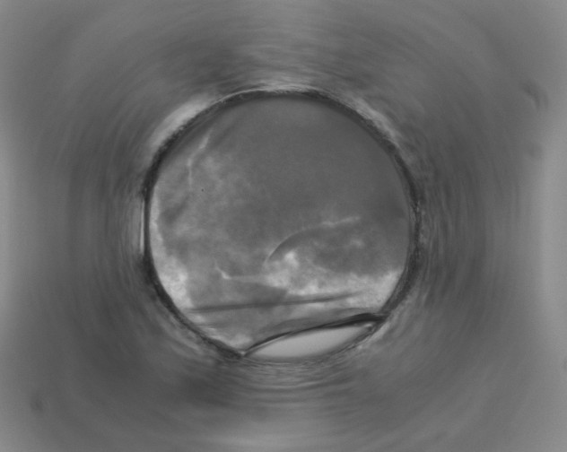 X0000113251171200910221115