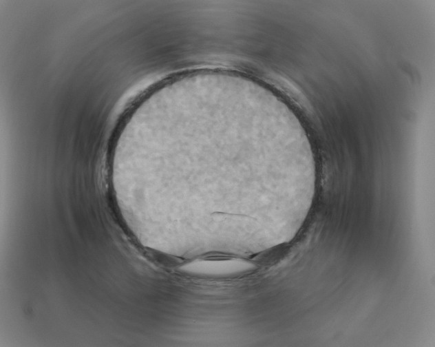 X0000113251172200910221115