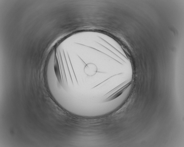 X0000113251173200910221115