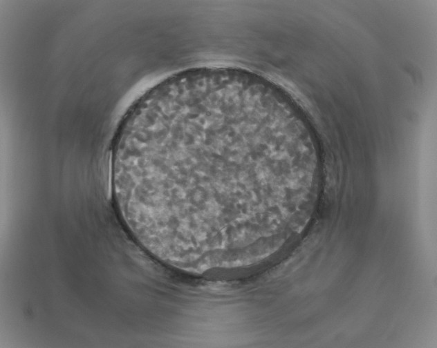 X0000113251175200910221115