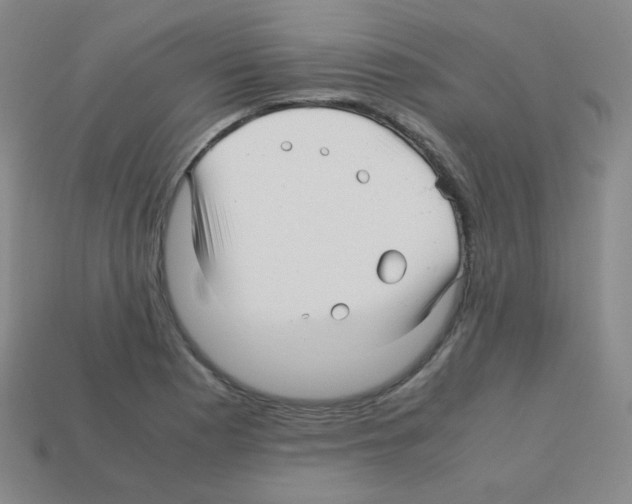 X0000113251177200910221115