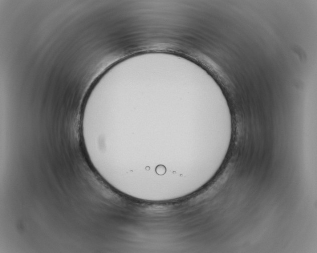 X0000113251178200910221115