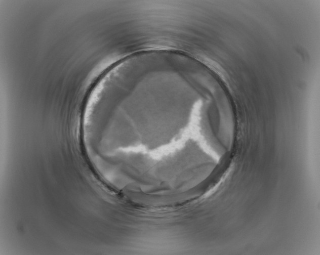 X0000113251179200910221115