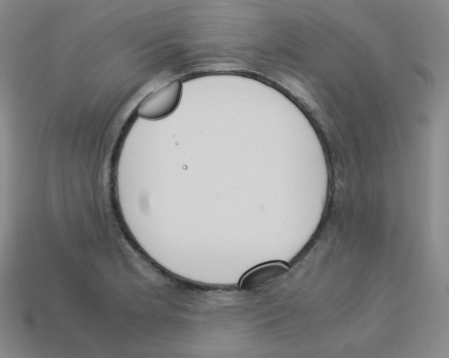 X0000113251181200910221115