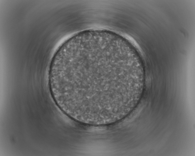 X0000113251183200910221115