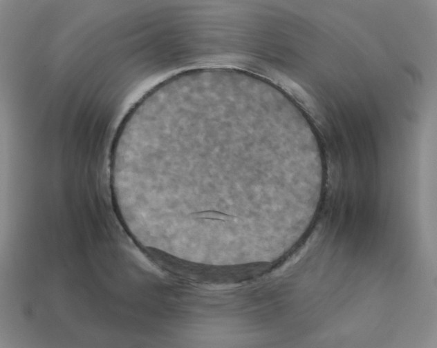 X0000113251184200910221115