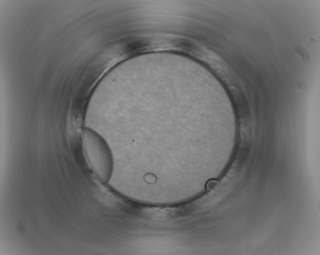 X0000113251185200910221115