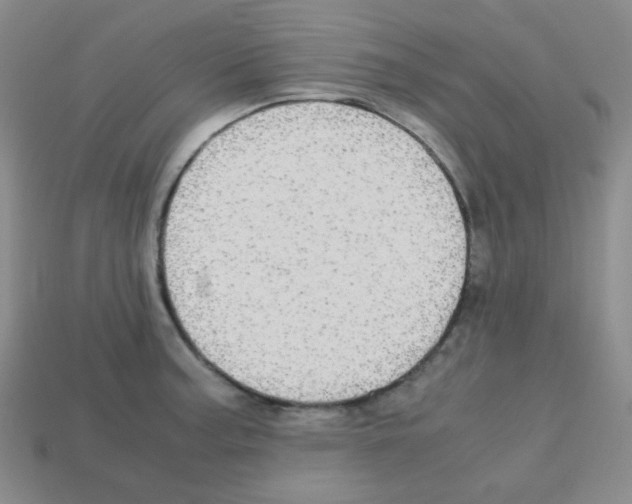 X0000113251187200910221115