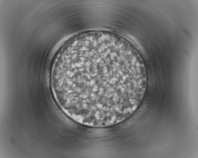 X0000113251188200910221115