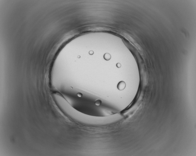 X0000113251189200910221115