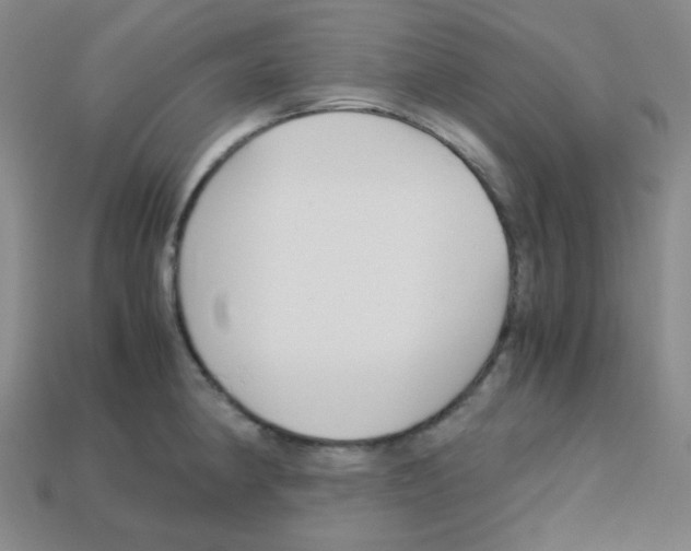 X0000113251190200910221115