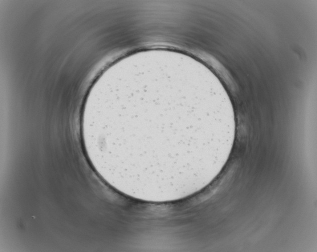 X0000113251191200910221115