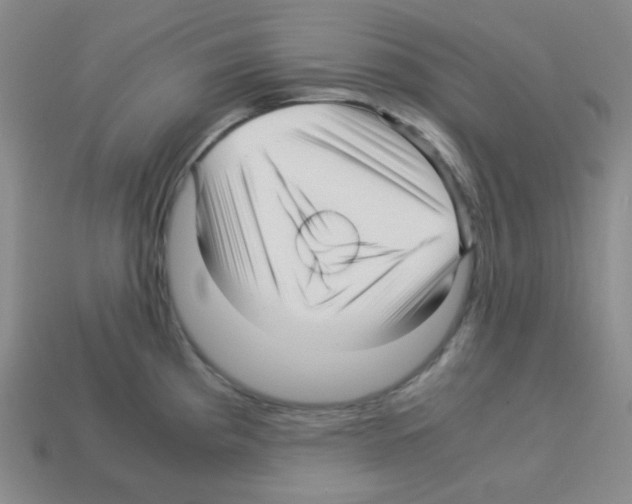 X0000113251193200910221115