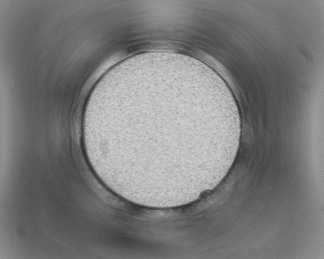 X0000113251195200910221115