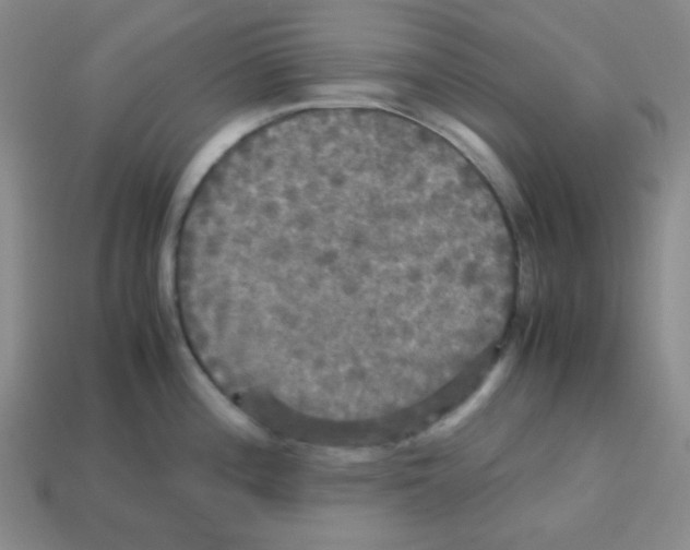 X0000113251196200910221114