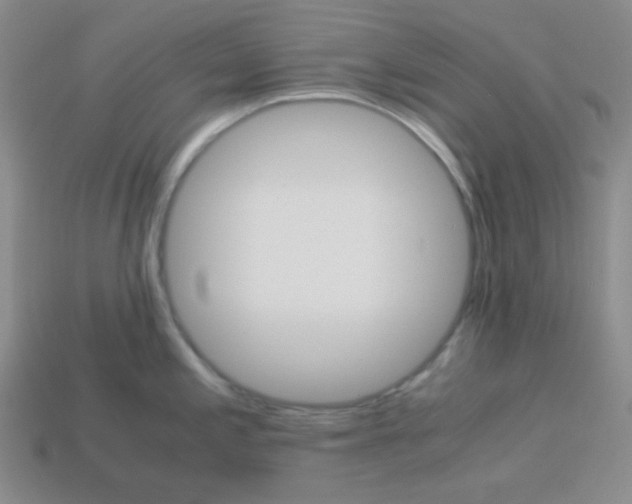 X0000113251197200910221114