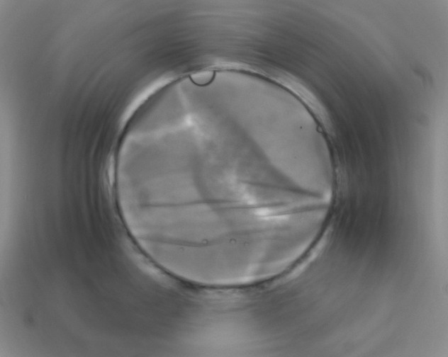 X0000113251198200910221114