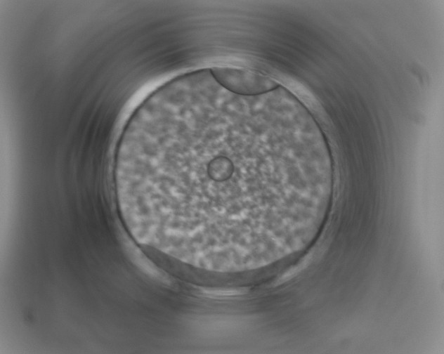 X0000113251200200910221114