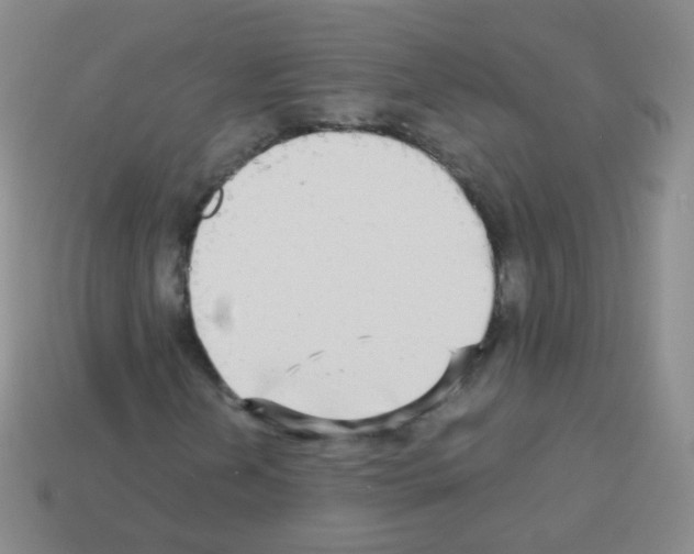 X0000113251202200910221114