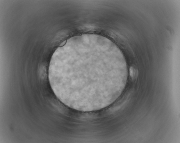 X0000113251203200910221114