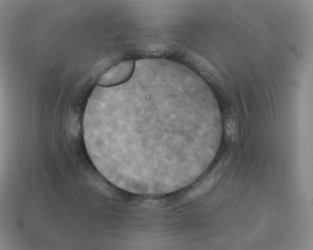 X0000113251204200910221114