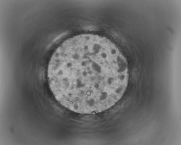 X0000113251205200910221114